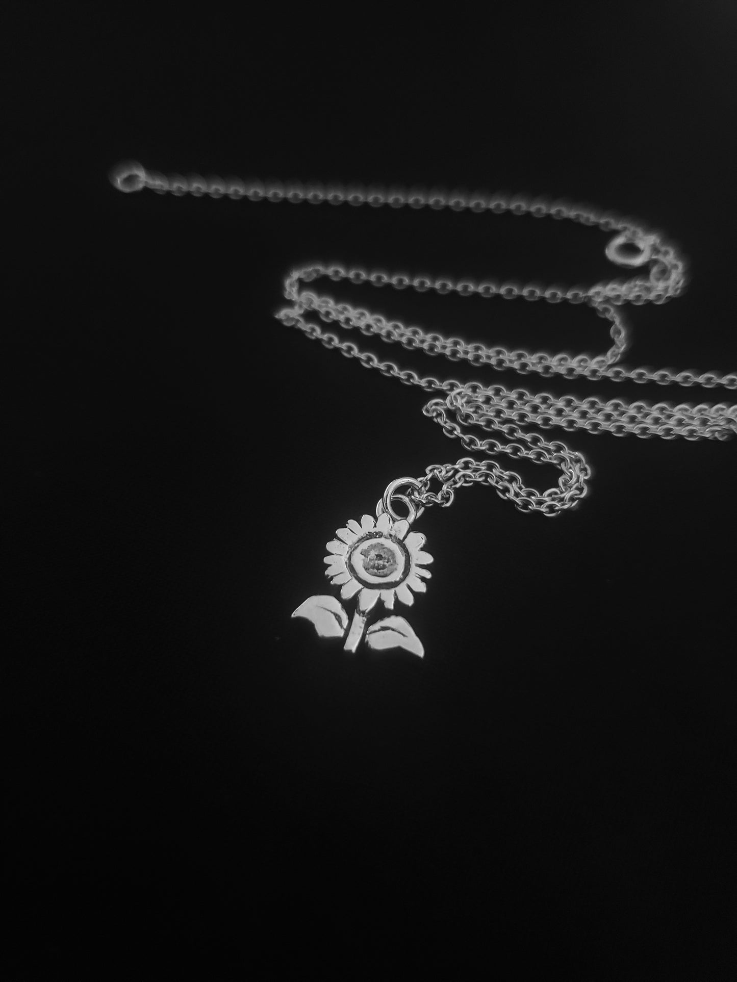 Tournesol