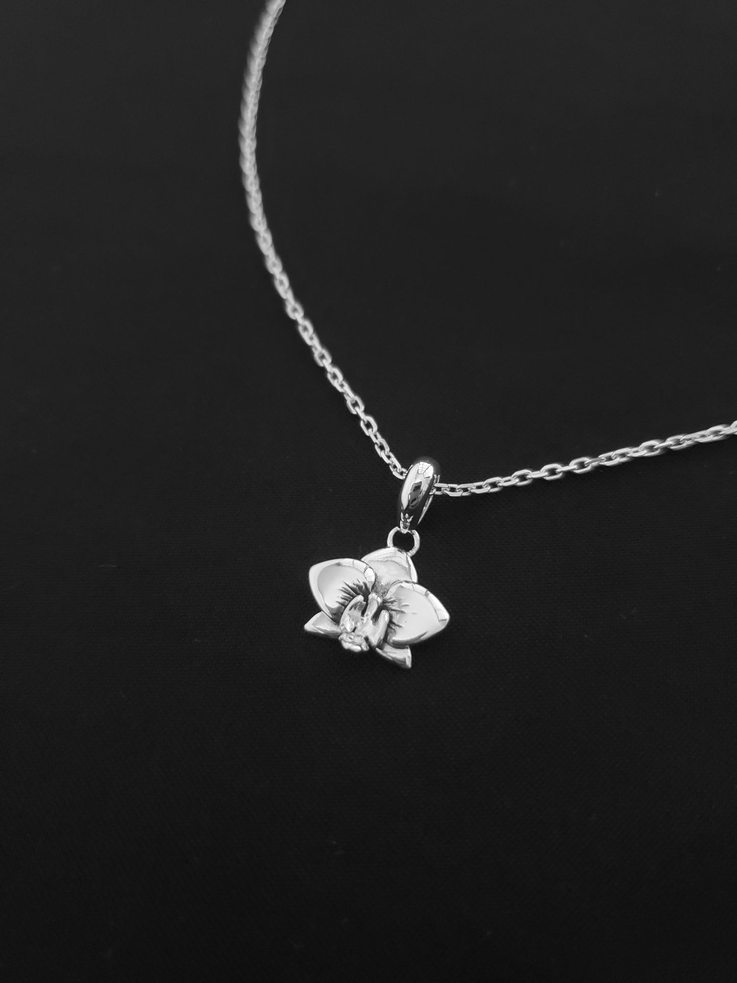 Orchidée