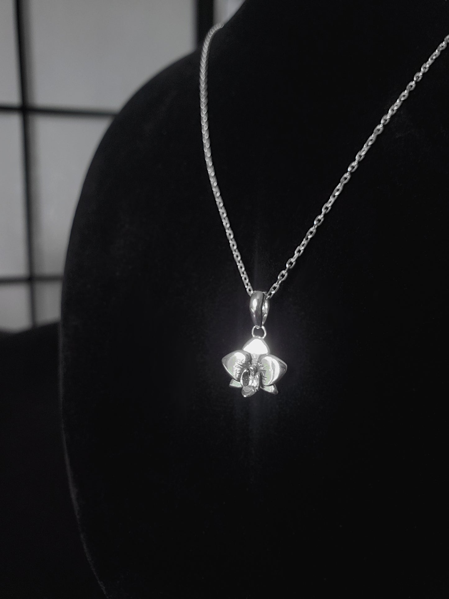 Orchidée