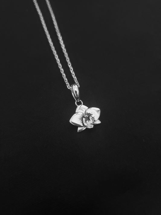 Orchidée