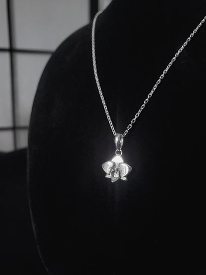 Orchidée